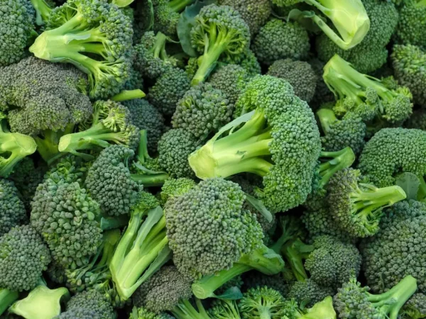 broccoli