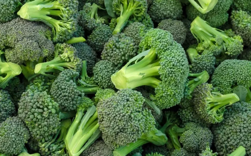 broccoli