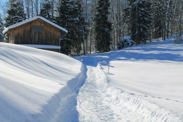 Snöskottning