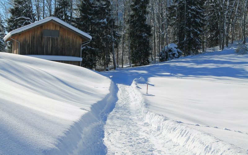 Snöskottning